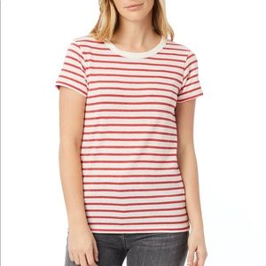 Alternative Ideal Striped Eco-Jersey T-Shirt